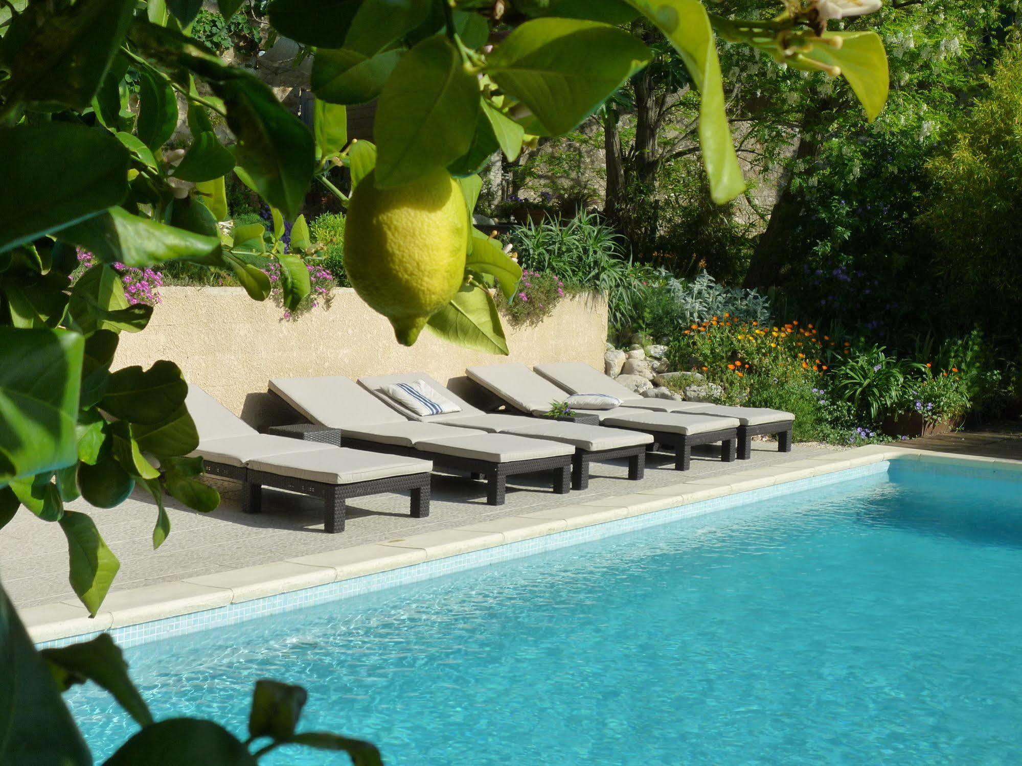 L'Ile Aux Mimosas Bed & Breakfast Tautavel Ngoại thất bức ảnh